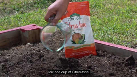 Espoma Organic Citrus-Tone 5-2-6 Natural & Organic Fertilizer and Plant Food for All Citrus, Fruit, Nut & Avocado Trees; 4 lb. Bag. Promotes Vigorous Growth & Abundant Fruit