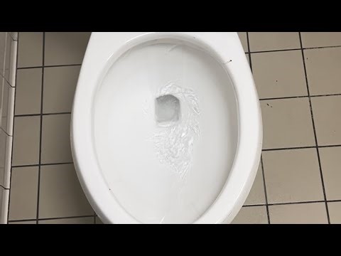 Publix men’s restroom full shoot!