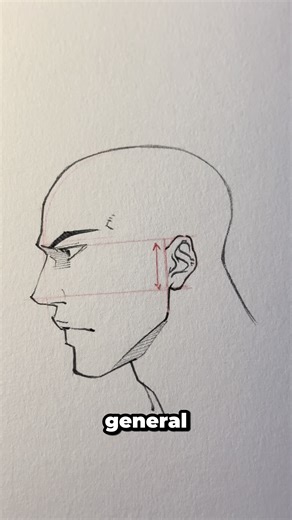 Tips for Positioning Ears in Art