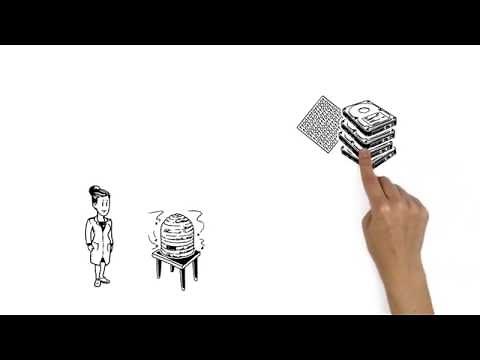 The European Open Science Cloud (EOSC) explained by the ZBW