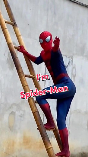 Spider-Man Funniest Videos Compilation