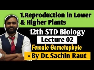 12th BIOLOGY |1.REPRODUCTION IN LOWER AND HIGHER PLANTS| LECTURE 02| Female Gametophyte