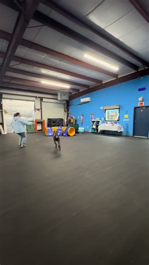 Long post, but today we did the work 💪🏻 We needed to go back to basics, and that's okay. We practiced ignoring the toys and focusing on following through with what’s being asked in our agility sequences with our #Doberman Finn. We don’t expect perfection yet! We’re only two months into our agility journey, but these small sessions, in addition to our weekly classes, have really helped build more clarity in working as a team. Our eldest kiddo, Gabriel, tagged along to practice today too. #proud