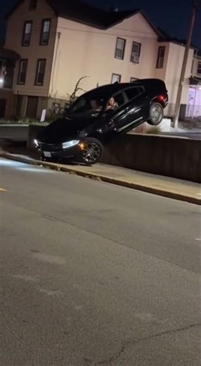 Giant Python Stops Traffic in Thai Jungle Rain! #omg #shorts #viral