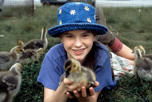 These Farm Movies Might Make You Want to Move to the Countryside