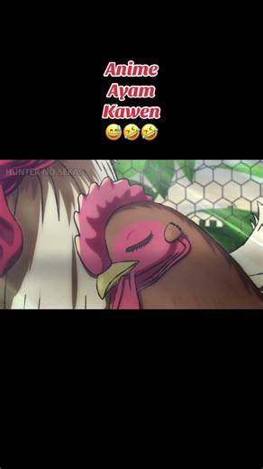 Cuman anime ayam 🤣🤣🤣#niwatorifighter#anime #ayam
