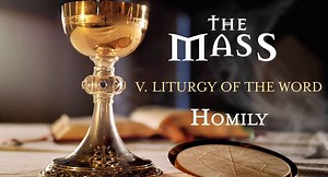 Our series of The Mass with Archbishop Mark Coleridge continues with Part V - the Homily. | Archdiocese of Brisbane