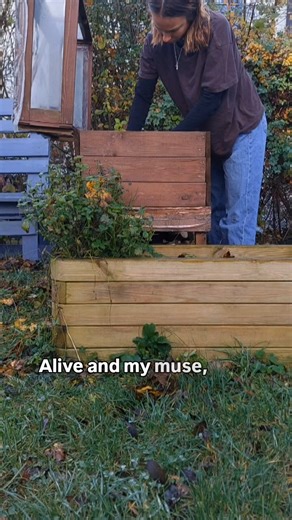 "alive / a life" poem by me #poetry #gardening #ecopoetry #naturelover #alive