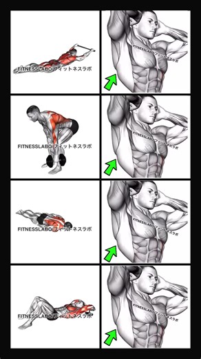 自宅でできる広背筋トレーニング | 筋トレ動画