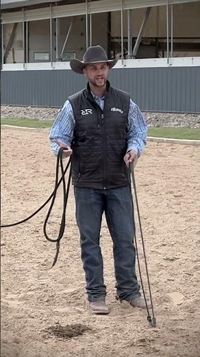 The Moment Training a Pushy Colt Took an Unexpected Turn... #shorts #ryanrose #horse