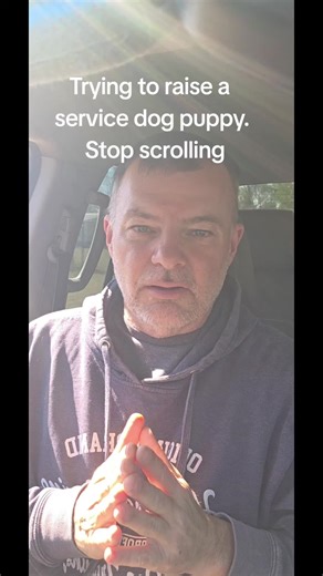 Service Dog Training Tips for Puppies