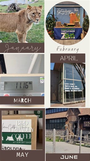 As we look back at the milestones of 2025, we can't help but get even more excited for what's in store for 2026. Happy New Year! | Turtle Back Zoo