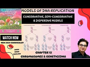 Models of DNA Replication | Conservative, Semi-Conservative & Dispersive | Biology Federal Board