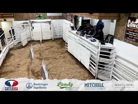 Mic Check For Greater Midwest Auctioneer Competition