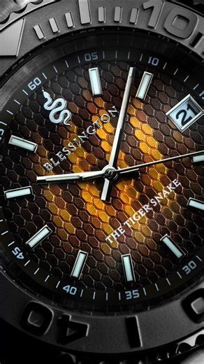 Blessington was started between two brothers with one goal. Build watches people actually feel proud to wear. Every design is inspired by Australia. Every release is made in limited numbers only. From the Whale Shark to the Great White these are not mass market pieces. They are built to be worn and remembered. | Blessington & Co