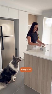 Big Dog Pet Foods is made with gut-friendly fresh vegetables, fruits, prebiotic and probiotic ingredients that feed the microbiome. Support your dog's gut health with a high quality whoelfood diet. | Big Dog Pet Foods