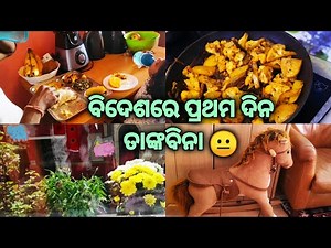 ବିଦେଶରେ ପୁଣି ସ୍ବାମୀ କିଛିଦିନ ଛାଡ଼ିକି ଯାଉଛନ୍ତି|ଛୁଆ ସହ କେମିତି କଟିଲା Day 1|କଣସବୁ ଖାଇବାକୁ ଦେଲି|Odia Vlog