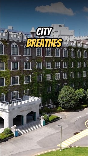 What if every apartment block had its own living skin?