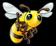 Oxalic Acid Vaporization - Northwest Bee Supply