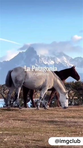 Você Tem Que Conhecer A Patagônia Um Dia