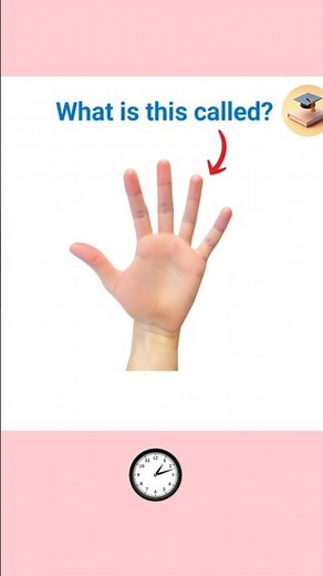 Finger Names in English | Learn All Fingers Name with Pictures & Pronunciation #quiz #vowels