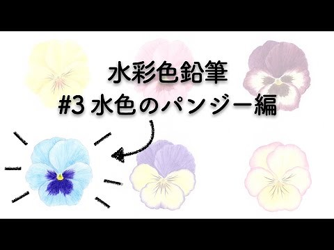【水彩色鉛筆】パンジーの塗り方 #3水色のパンジー編 #StayHome and paint #WithMe