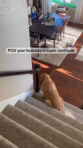 Wireless Bluetooth sunglasses 😎 Now he won’t ever take it off! 😂 🔗 Its linked in our bio! 🛒 Bluetooth Sunglasses #bluetoothsunglasses #sunglasses #gift #present #husband #call #bluetooth #wireless #explore #reels | Dulvo