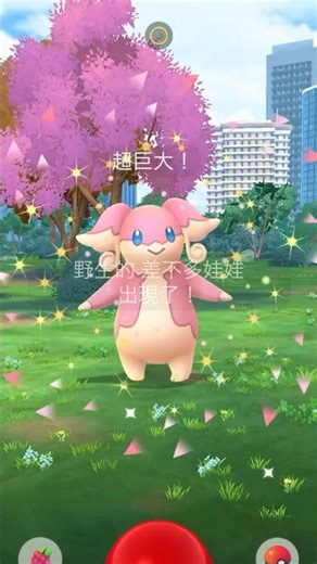 XXL Audino… Almost a Hundo?! 💥 | Pokémon GO #pokemongo #catch #xxl #audino #shorts