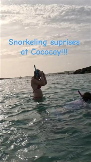 Hidden Secrets of Coco Cay! 🏝️ What We Found Snorkeling Will Shock You!