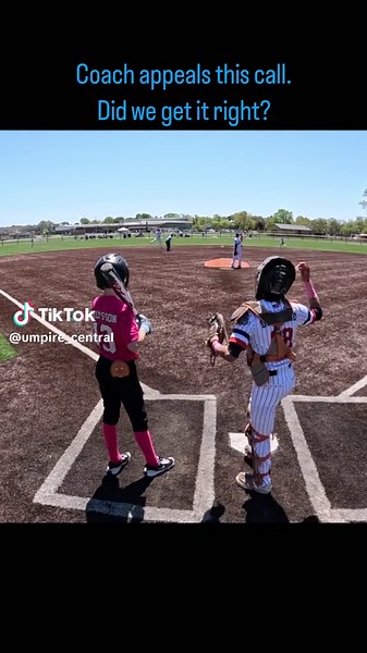 #13u the reply makes me question it… #baseball #umpire #sports #michigan #arizona
