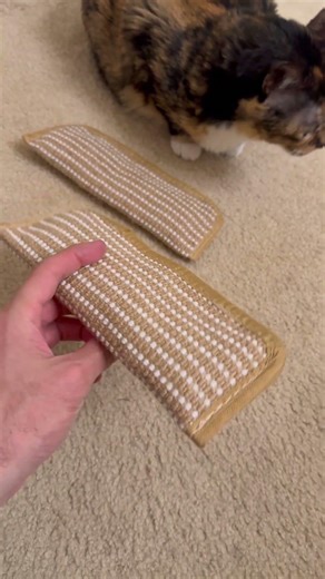 Watch How Obsessed My Cats Get With This #cat #toys #satisfying