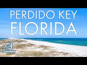 Snorkeling in Perdido Key Florida | Electric Stingray!⚡OUCH!!