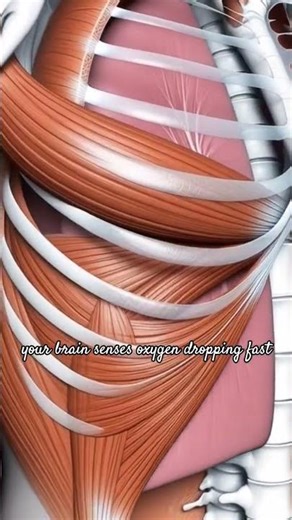 What Happens Inside Your Body When You Choke..