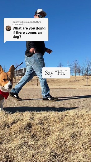 We say “Hi.” 👋🏻 Socialized dogs and rabbits can coexist peacefully with proper training and supervision. It’s crucial to teach your rabbit “stand your ground” training, which involves helping it feel confident and safe in the presence of the dog. This training prevents the rabbit from triggering the dog’s prey drive by running away, reducing the risk of chasing behavior. With patience, positive reinforcement, and gradual introductions, socialized dogs and rabbits can enjoy each other’s company