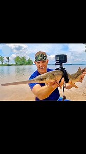 fish photography underwate 😳🐟📸 #reelsviral #superreels #reelsfacebook #curiosidades #animals #fish | Janiellsonof