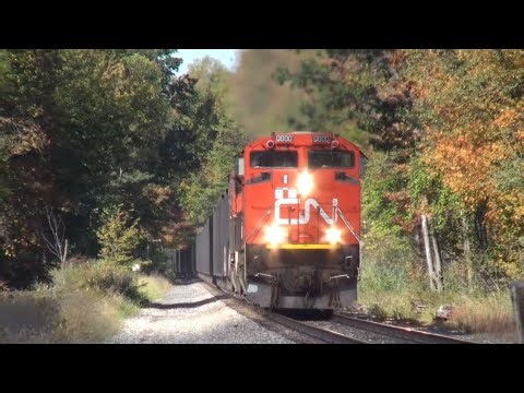 Bessemer and Lake Erie Iron Ore train. Southbound. West Springfield PA - 215. October 11, 2025.
