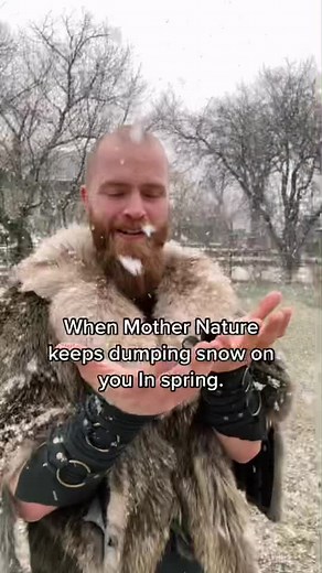 Viking Cats Immigrant Song in Spring Snow | Canada