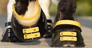 How to Size Your Horse's Hoofs For Scootboot Hoof Boots