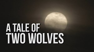 The Tale of the Two Wolves: One Good, One Evil...