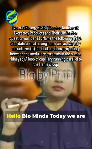 In Class 11 Biology (NCERT Chapter 16 – Excretory Products and Their Elimination), students often overlook small “Name the Following” questions. However, these one-line answers are highly scoring in board exams. Question 11 Highlights: • Amphioxus – A primitive chordate with flame cells for excretion • Columns of Bertini – Cortical extensions between medullary pyramids • Vasa Recta – Capillary loop running parallel to Henle’s loop Concept clarity NCERT precision = Better results. Focus on termin