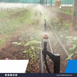 𝐃𝐞𝐥𝐢𝐜𝐚𝐭𝐞 𝐜𝐫𝐨𝐩𝐬 𝐝𝐞𝐬𝐞𝐫𝐯𝐞 𝐝𝐞𝐥𝐢𝐜𝐚𝐭𝐞 𝐜𝐚𝐫𝐞 – 𝐌𝐢𝐬𝐭𝐧𝐞𝐭 𝐦𝐚𝐤𝐞𝐬 𝐢𝐭 𝐩𝐨𝐬𝐬𝐢𝐛𝐥𝐞. Specially designed for under-canopy cooling and humidification, MistNet delivers an ultra-fine mist with no mess. An easy-to-maintain protector for your flowers, saving you time and effort. For farms that flourish — 𝐦𝐢𝐬𝐭 𝐢𝐭 𝐫𝐢𝐠𝐡𝐭 𝐰𝐢𝐭𝐡 𝐌𝐢𝐬𝐭𝐍𝐞𝐭. #Mistnet #NetafimIndia #PrecisionMisting #FloricultureCare #DripSmartFarmEasy | Netafim India