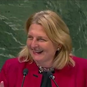 Austria’s Foreign Minister surprised the United Nations by choosing to deliver a moving speech about the plight of refugees in Arabic. http://bit.ly/2RmjVcd | SBS News