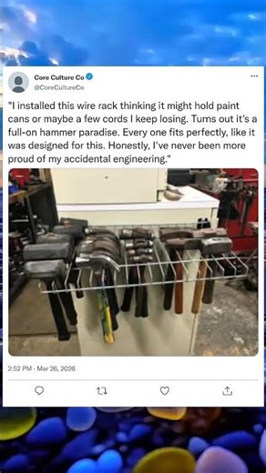 The Wire Rack Finally Found Its True Purpose 🏠✨#diyhack #homeorganization