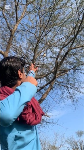 Slingshot Hunting Birds Video Slingshot Practice Slingshot Practice VideoAir Rafile Practice