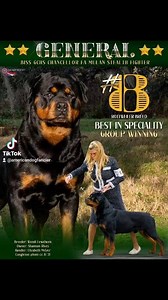 GENERAL ⭐️ BISS GCHS Chancellor Fa Mulan Stealth Fighter #8 ROTTWEILER (breed) GROUP WINNING BEST IN SPECIALTY SHOW #AKC #ADF #ROTTWEILER #rottie #workingdog | American Dog Fancier | Facebook
