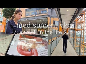 [medic vlog] a week on A&E 🤭 / life of a med student / skills & long hospital days 🤓 / final year