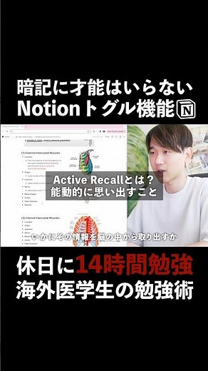 The most powerful memorization system using Notion was revolutionary. #notion #tutorial #memoriza...