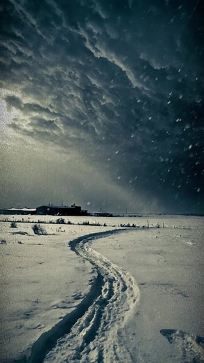 Did you know about the Great North Dakota Blizzard of 1966? ❄️🌬️ This storm buried towns under 40-foot drifts and stranded trains for days. Watch to see how it changed everything! #Blizzard1966 #WinterStorm #History #catastrophe #FYP