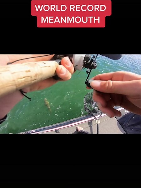 Cast 2 Catch of my World Record Meanmouth 11.07lbs! #bassfishing #largemouth #smallmouth #meanmouth #ohivie #ohivieguide #fishtok #fishing #BradyStanfordFishing #doubledigitbass #worldrecord