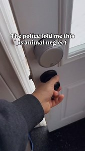 They showed up after another compliant. Said “snow dog = neglect” Even after I explained it was a husky. They still wrote me a ticket What would you do ? | Freezing Husky